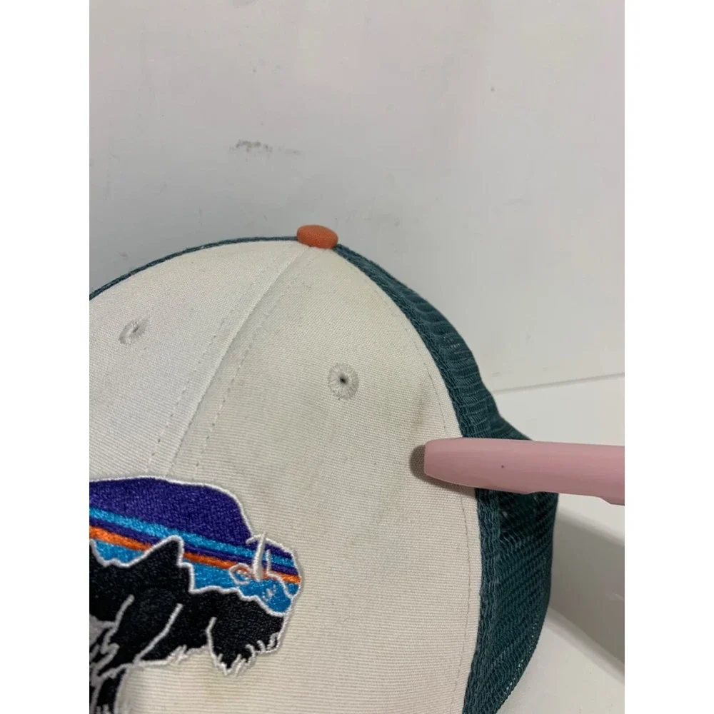 Patagonia Mens Fitz Roy Snap Back Bison Buffalo Trucker Hat